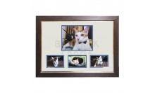 กรอบรูปเม้าท์บอร์ดตัดเจาะใส่ภาพสัตว์เลิ้ยง